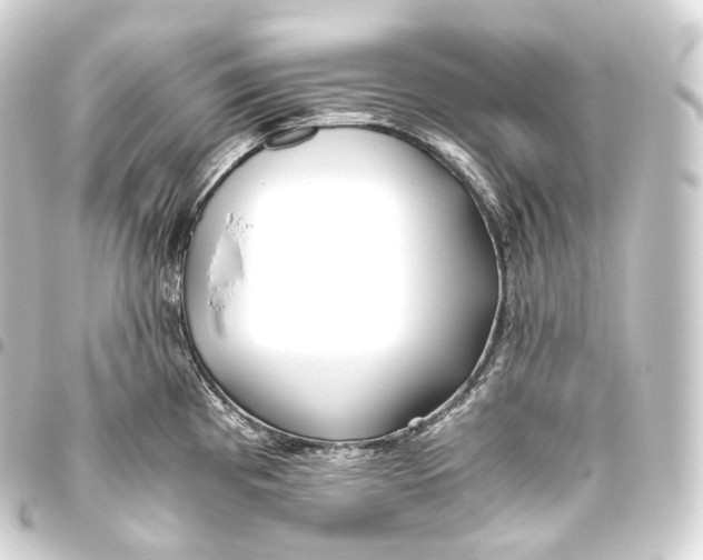 X0000093441193200711021048