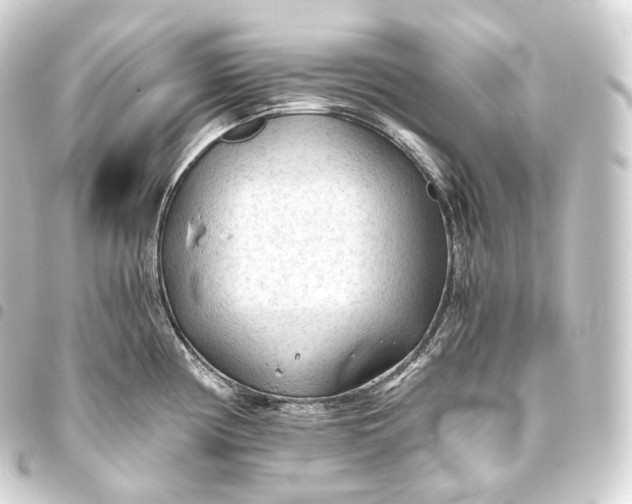 X0000093441194200711021048