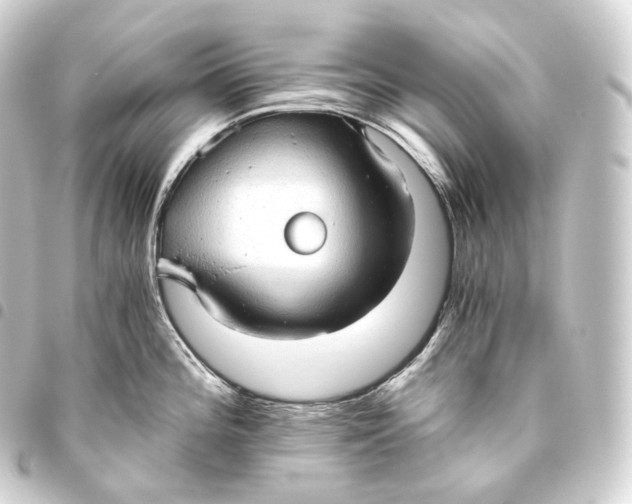 X0000093441196200711021048