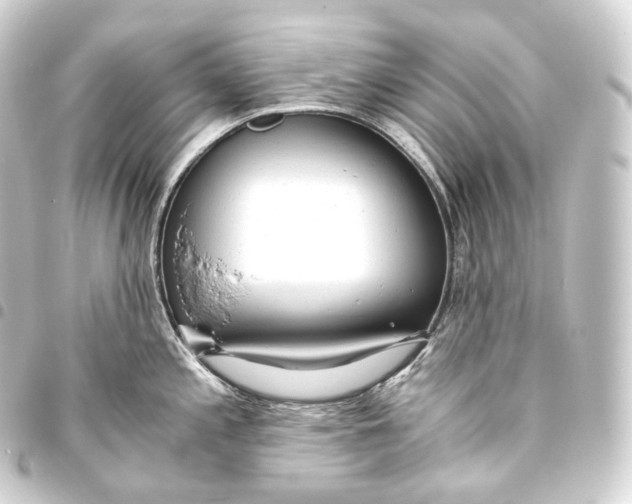 X0000093441197200711021048