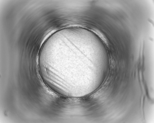 X0000093441198200711021048