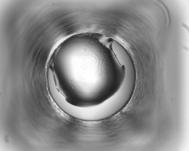 X0000093441200200711021048