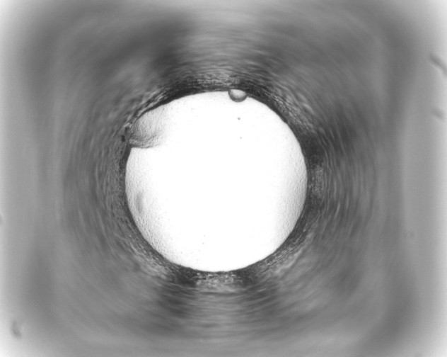 X0000093441201200711021047