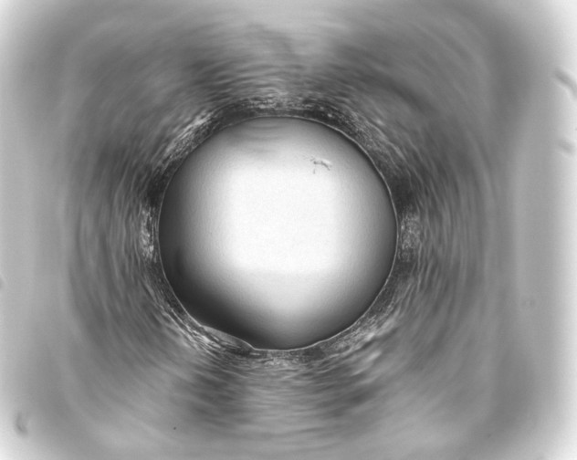 X0000093441202200711021047