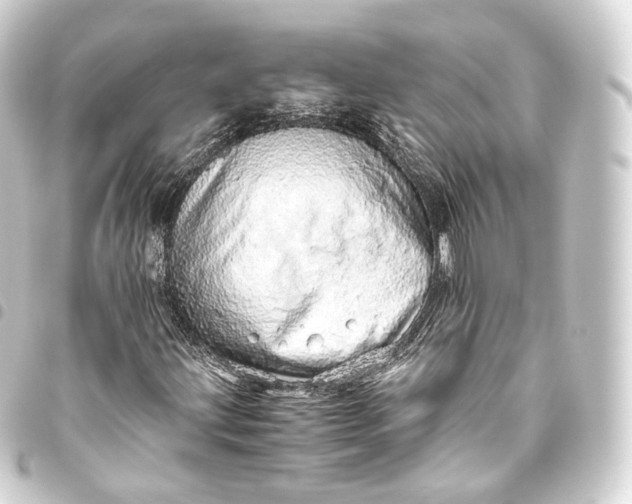 X0000093441203200711021047