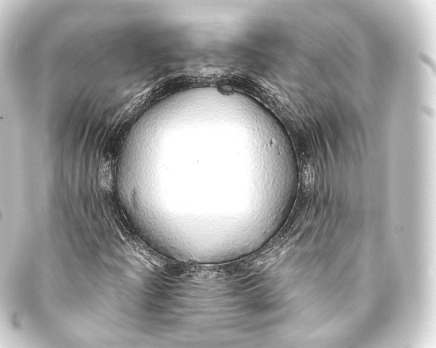 X0000093441204200711021047