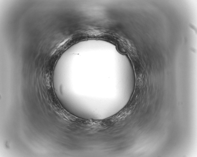 X0000093441205200711021047