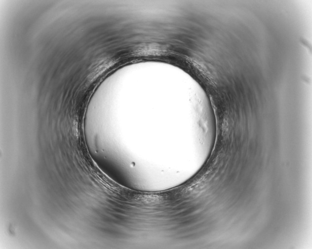 X0000093441209200711021047