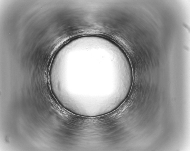 X0000093441212200711021047