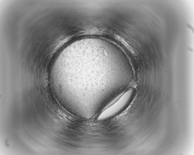 X0000093441213200711021047