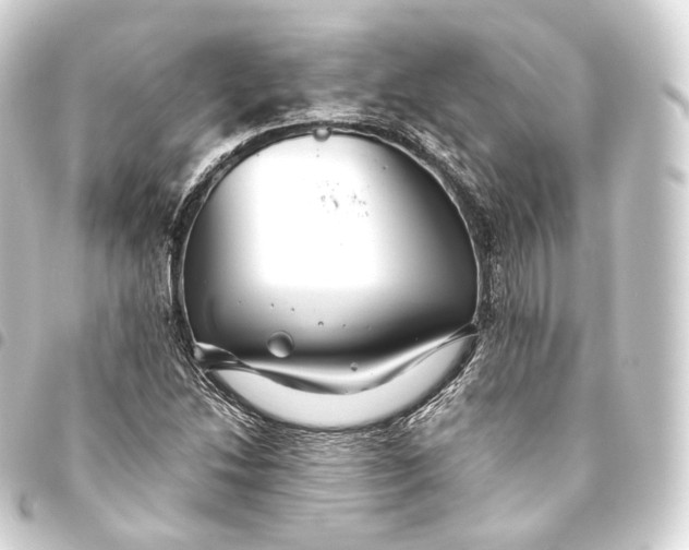 X0000093441214200711021047