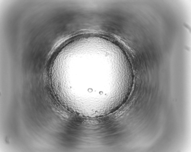 X0000093441215200711021047