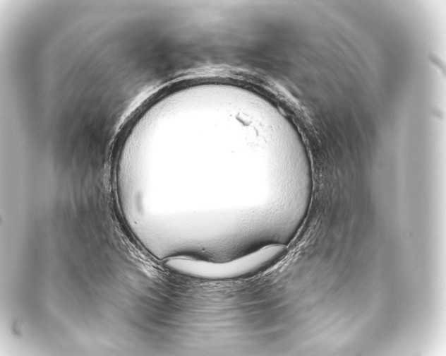 X0000093441216200711021047