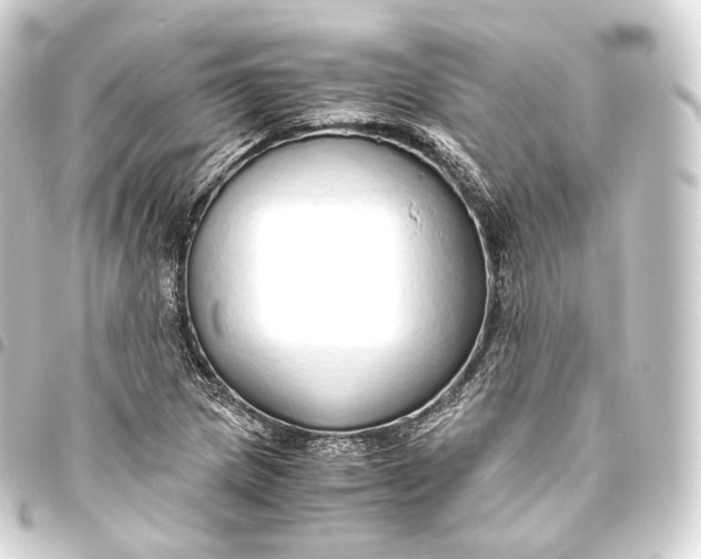 X0000093441217200711021047