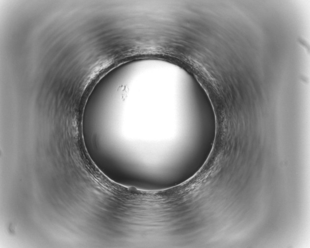 X0000093441218200711021047