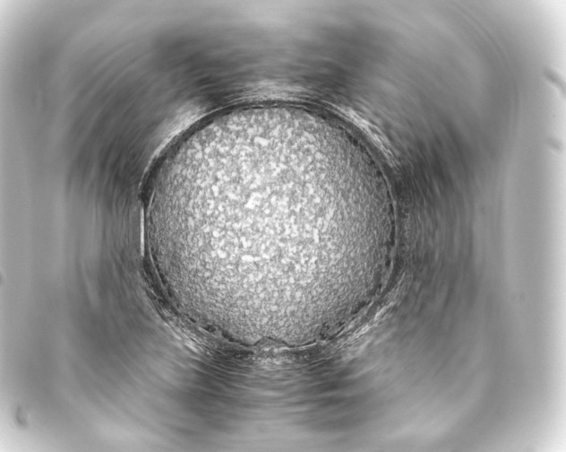 X0000093441219200711021047