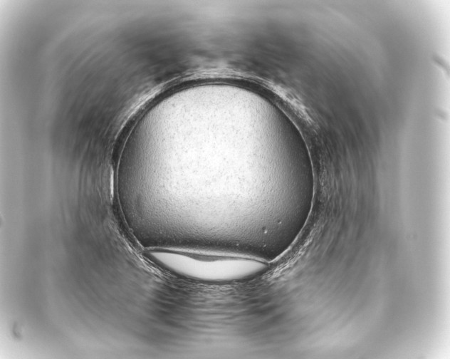 X0000093441221200711021047