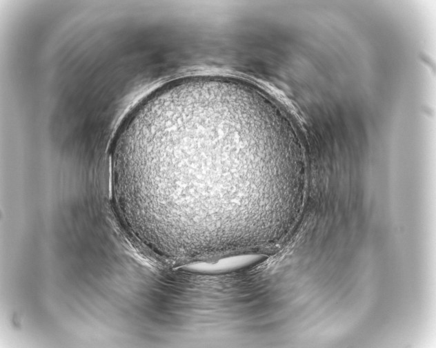 X0000093441223200711021047