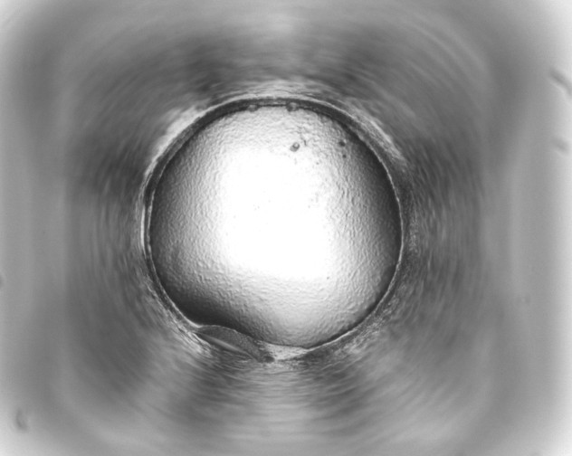 X0000093441224200711021047