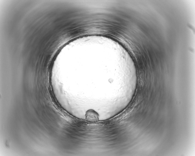 X0000093441227200711021047