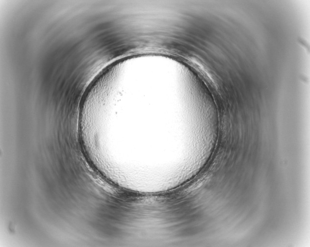 X0000093441228200711021047