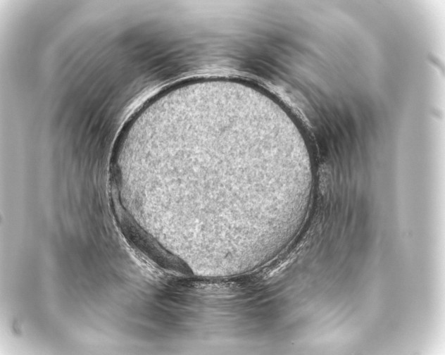 X0000093441229200711021047