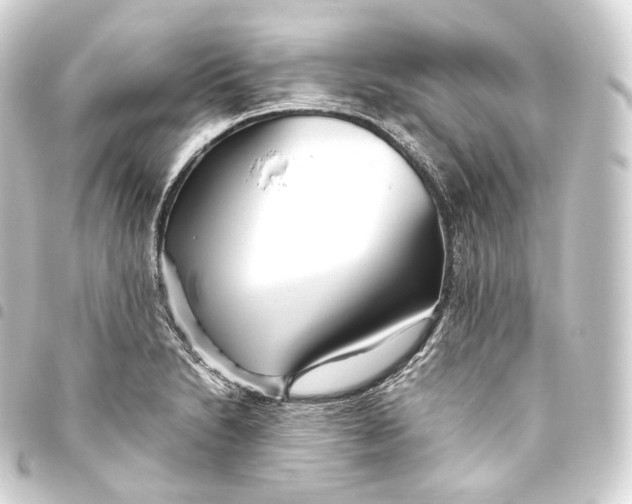 X0000093441230200711021047