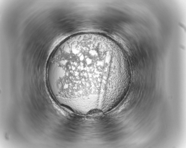 X0000093441231200711021047