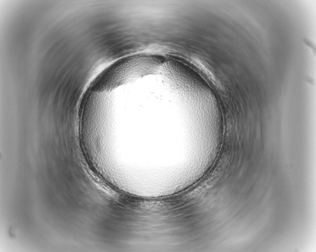 X0000093441232200711021047