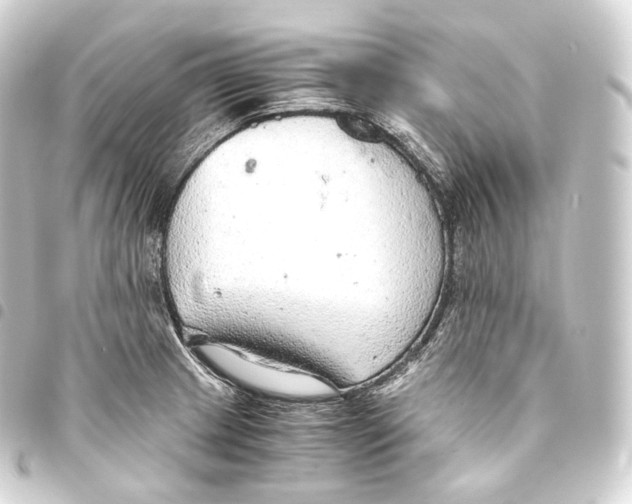 X0000093441233200711021047