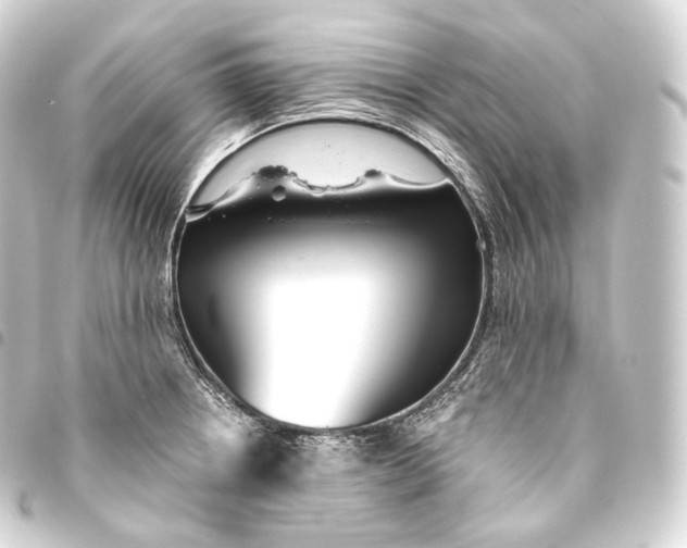 X0000093441234200711021047