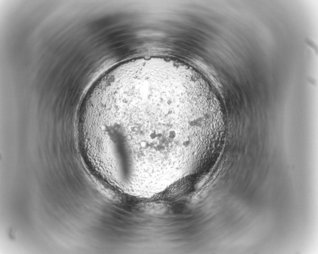 X0000093441235200711021047