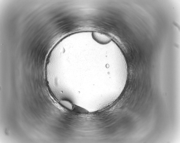 X0000093441236200711021047