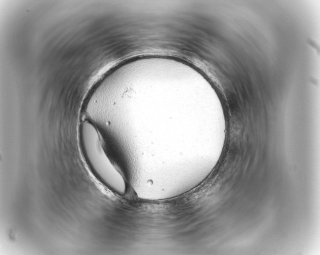 X0000093441237200711021047