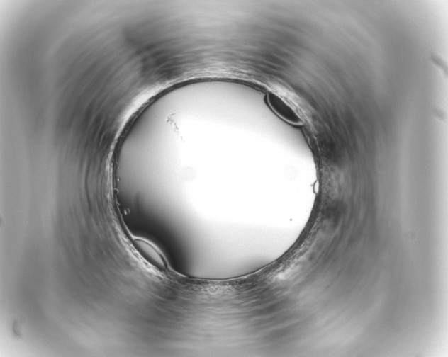 X0000093441238200711021047