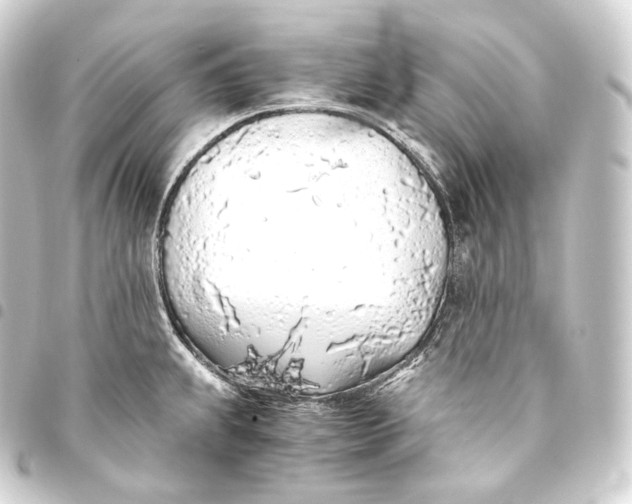 X0000093441239200711021047