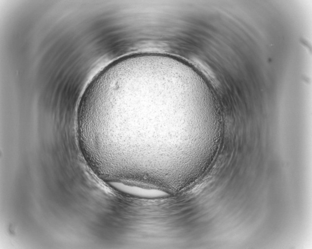 X0000093441240200711021047