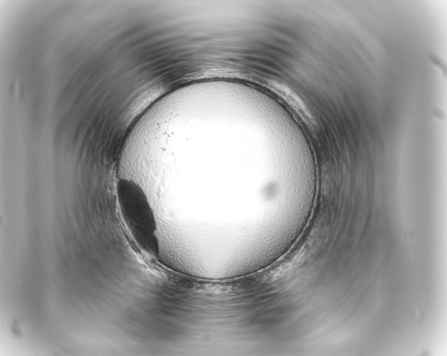 X0000093441241200711021047