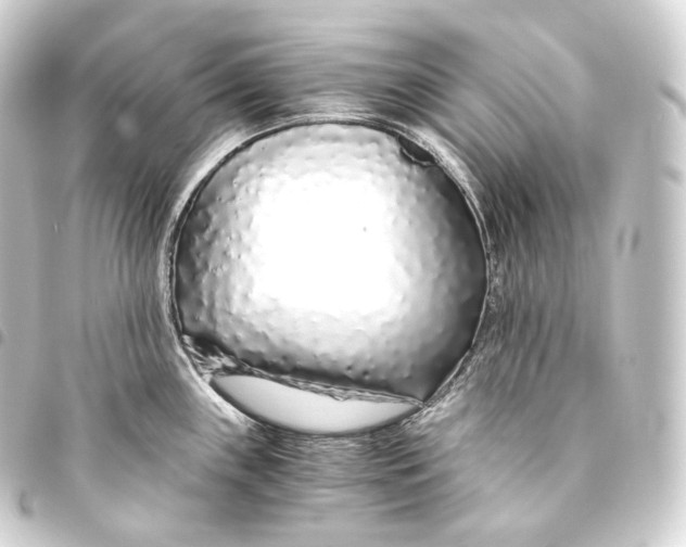 X0000093441243200711021047