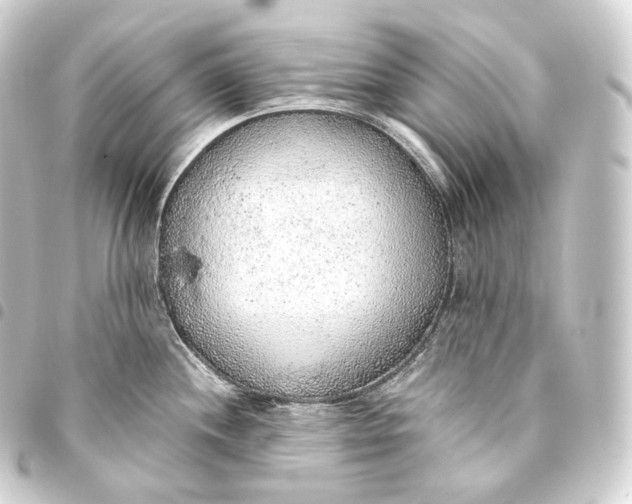 X0000093441244200711021047