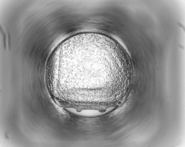 X0000093441245200711021047