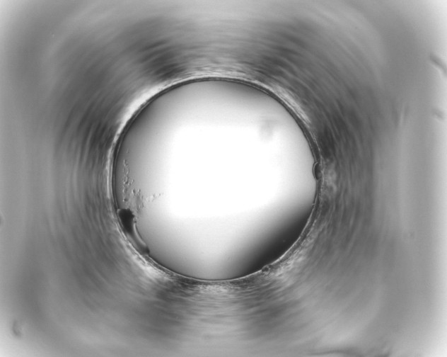 X0000093441246200711021048