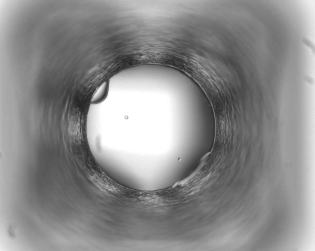 X0000093441250200711021047