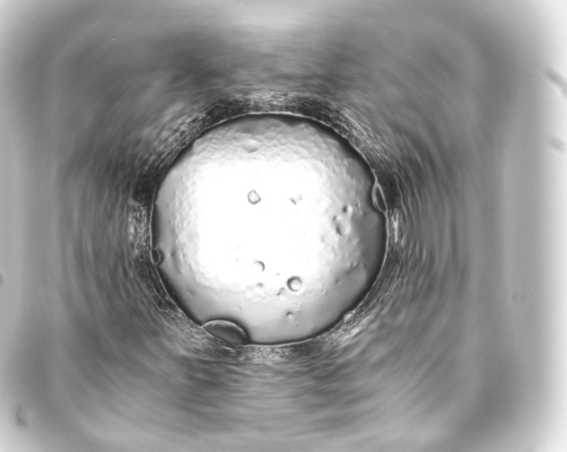 X0000093441251200711021047