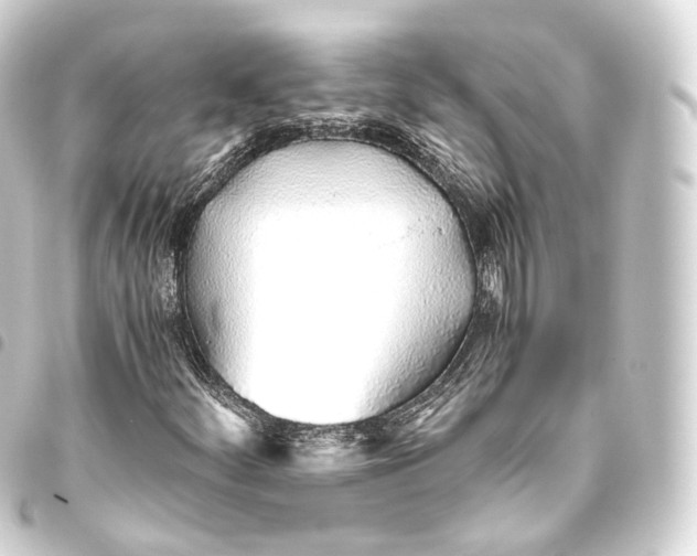 X0000093441252200711021047