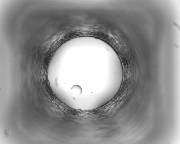 X0000093441253200711021047