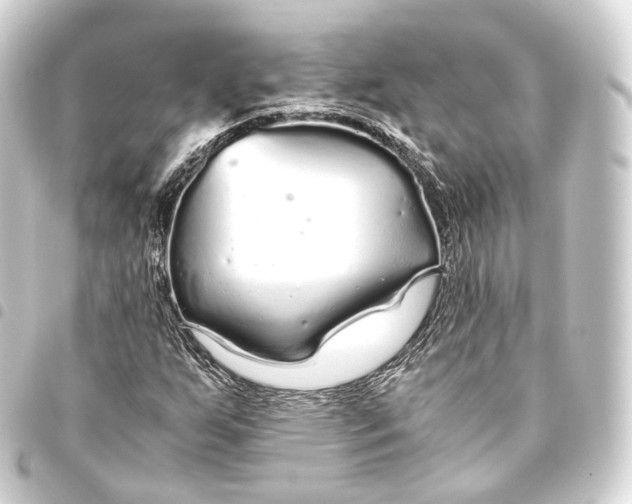 X0000093441255200711021047