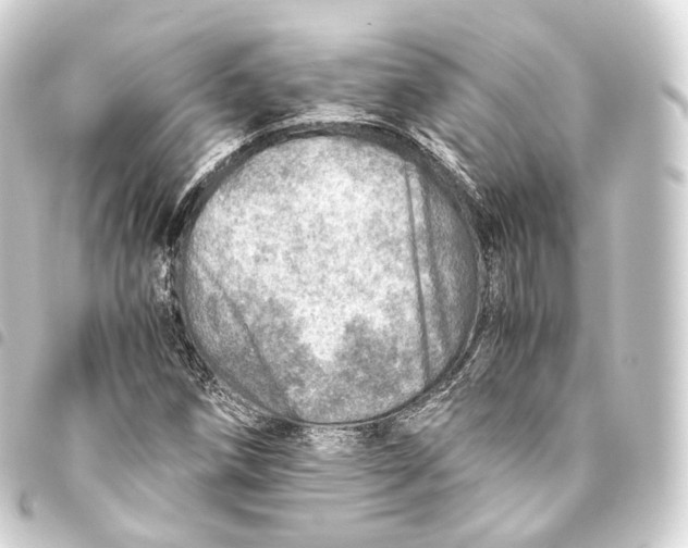 X0000093441258200711021047