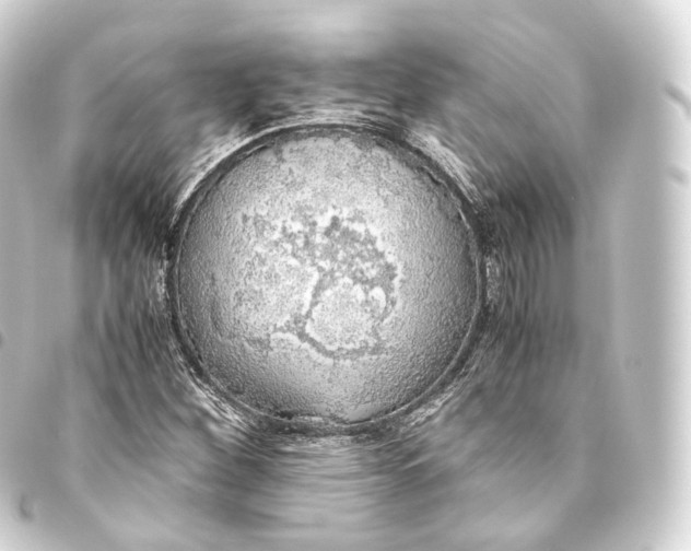 X0000093441260200711021047