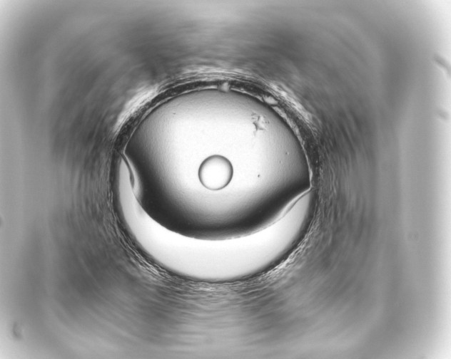 X0000093441261200711021047